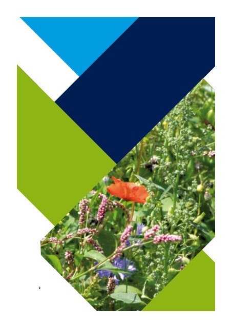 Lerarenhandleiding Landbouw en Biodiversiteit.pdf - Ivn