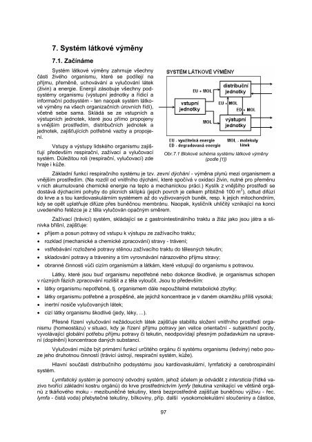 7. Systém látkové výměny - FBMI