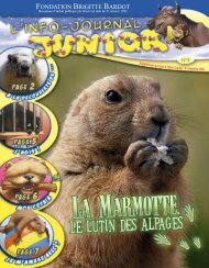 La Marmotte - Site Junior - Fondation Brigitte Bardot