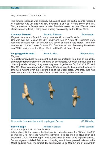 2005 (No 5) - Gibraltar Ornithological & Natural History Society