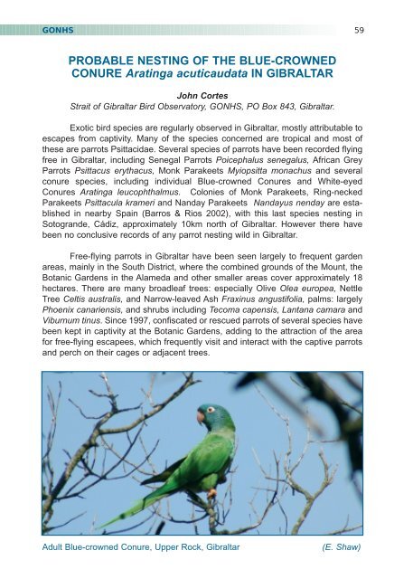 2005 (No 5) - Gibraltar Ornithological & Natural History Society