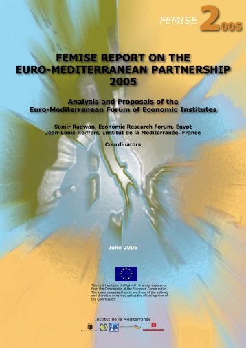 Report on the euro-mediterranean partnership 2005 - Femise