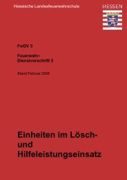 Einheiten im Lösch- und Hilfeleistungseinsatz - Feuerwache 3