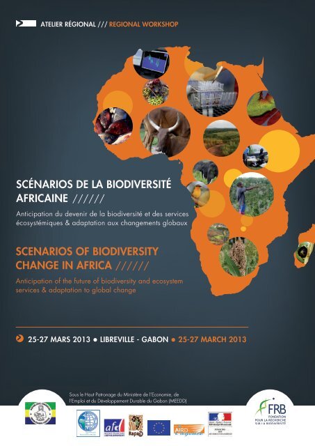 SCÉNARIOS DE LA BIODIVERSITÉ AFRICAINE ... - FFEM