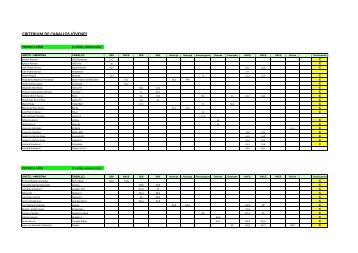 Clasificación provisional 2 - Federación Hípica de Madrid