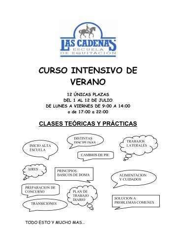 CURSO INTENSIVO DE VERANO