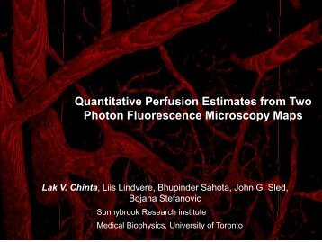 Lakshminarayan V. Chinta - Fields Institute - University of Toronto