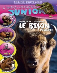 Le Bison d'Europe - Site Junior - Fondation Brigitte Bardot