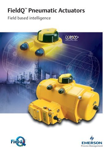 FieldQ Pneumatic Actuators - Fluid Control Services