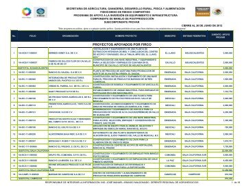 PROYECTOS APOYADOS POR FIRCO