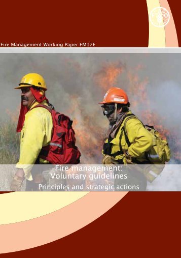 Fire management: Voluntary guidelines - The Global Fire Monitoring ...