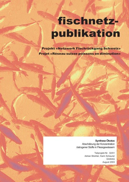 Synthese Ökotox - Fischnetz