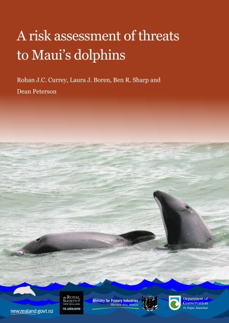 A risk assessment of threats to Maui's dolphins - Department of ...