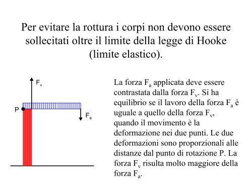 Statica ed equilibrio dei corpi - Fisica