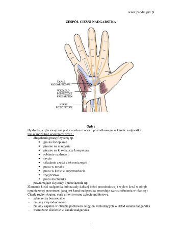 zespol_ciesni_nadgar.. - Pandm