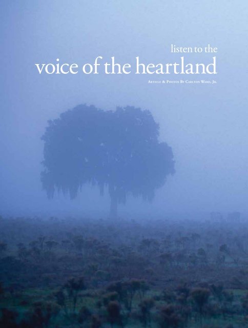THE MAGAZINE OF THE FLORIDA HUMANITIES COUNCIL