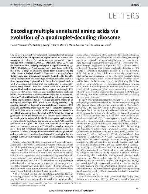 Encoding multiple unnatural amino acids via evolution of a ...