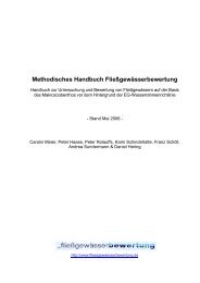 Methodisches Handbuch Fließgewässerbewertung (Stand Mai 2006)