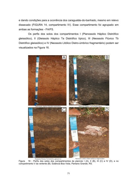 Tese em PDF - departamento de engenharia florestal - ufpr ...