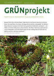 Download des Artikels im PDF-Format. - Floristmeisterschule ...
