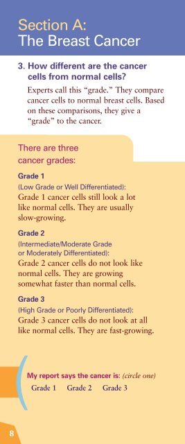 Breast Cancer Pathology Report