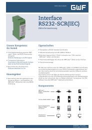 Prospekt - GWF Messsysteme AG