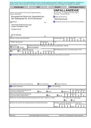 Unfallanzeige (als pdf) - foerderverein-europaschule.de