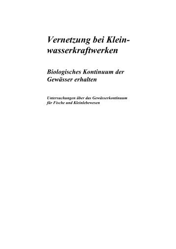 Vernetzung bei Kleinwasserkraftwerken - Bundesamt für Energie BFE