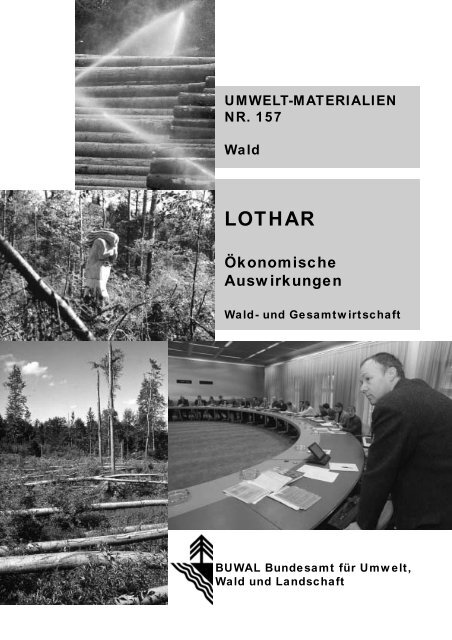 LOTHAR. Ökonomische Auswirkungen. Wald - BAFU