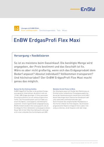 Produktblatt EnBW ErdgasProfi Flex Maxi (52 kB ) PDF