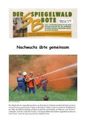 Hinweise der Redaktion: - Stadt Grünhain-Beierfeld