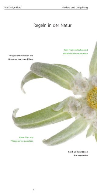 Vielfältige Flora – erkunden und entdecken - Andelsbuch