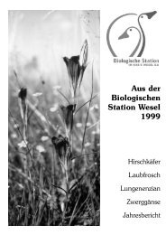 Jahresbericht 1999 - Biologische Station im Kreis Wesel e.V. (BSKW)