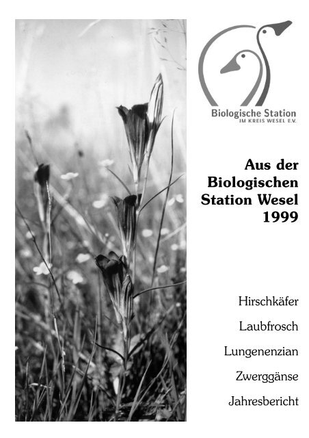 Jahresbericht 1999 - Biologische Station im Kreis Wesel e.V. (BSKW)