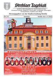Strehlaer Tageblatt - Stadt Strehla
