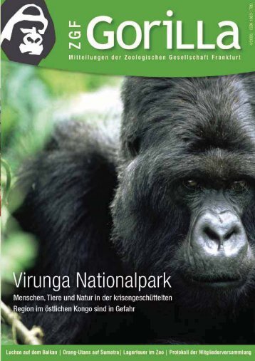 ZGF Gorilla | Dezember 2006 - Zoologische Gesellschaft Frankfurt