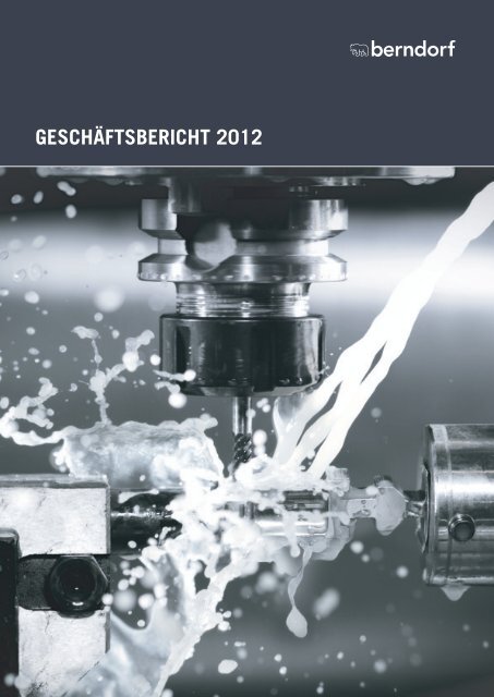 Bericht 2012 als PDF - Berndorf AG