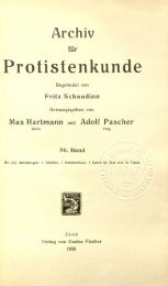 Protistenkunde - Msu