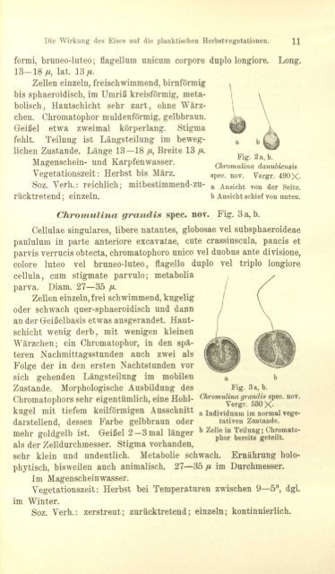 Protistenkunde - Msu