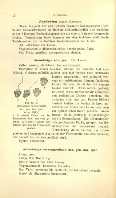 Protistenkunde - Msu