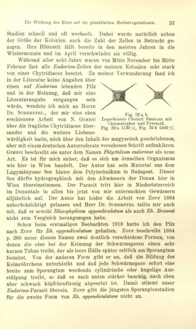 Protistenkunde - Msu