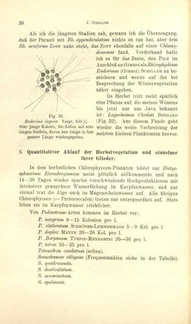 Protistenkunde - Msu