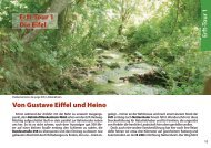 Von Gustave Eiffel und Heino Erft-Tour 1 Die Eifel - Bachem.de