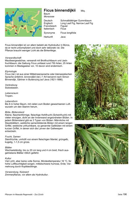 Pflanzendokumentation Masoala, Inhaltsverzeichnis mit ... - Zoo Zürich