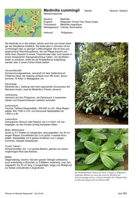 Pflanzendokumentation Masoala, Inhaltsverzeichnis mit ... - Zoo Zürich