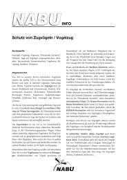 Schutz von Zugvögeln - Nabu