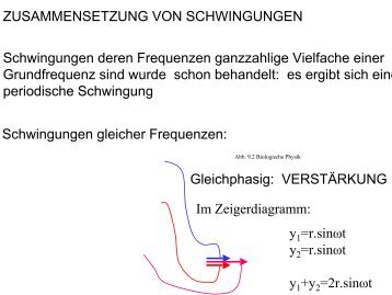 ZUSAMMENSETZUNG VON SCHWINGUNGEN Schwingungen ...