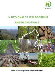 rheinland-pfalz 3. regionaler waldbericht rheinland-pfalz 3 ... - PEFC