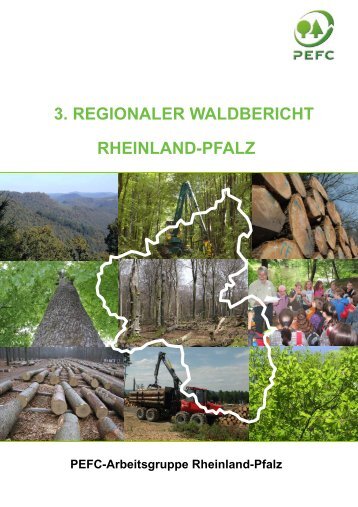 rheinland-pfalz 3. regionaler waldbericht rheinland-pfalz 3 ... - PEFC