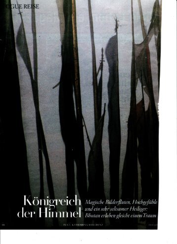 Januar 2011, Vogue: Königreich der Himmel (PDF 6,5 MB)